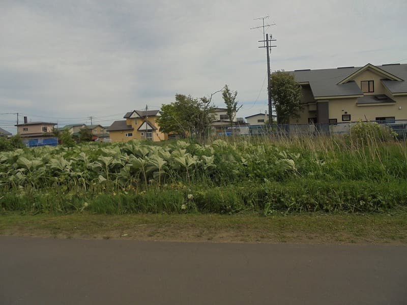 白糠町西庶路西1条北1丁目4番42 75万円