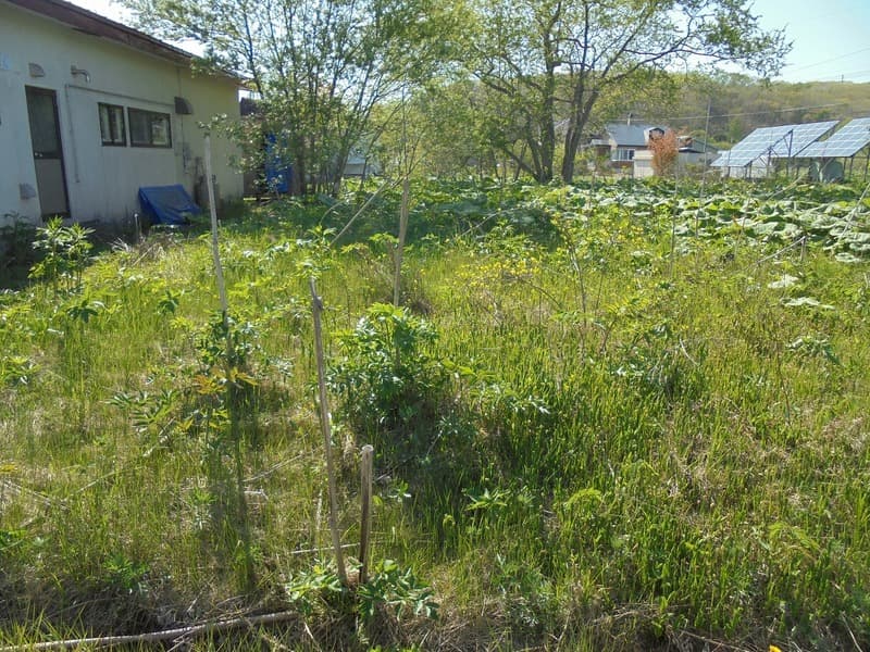 白糠町庶路宮下３丁目４番４９・５０ 要相談