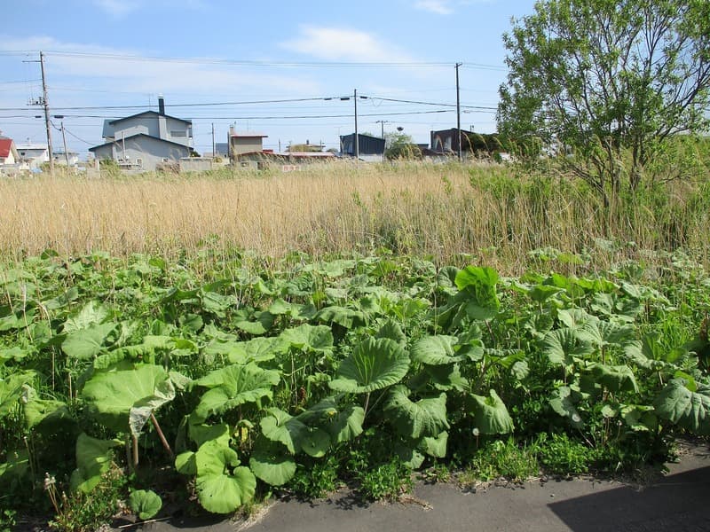 白糠町西庶路西２条北１丁目１番９ 20万円