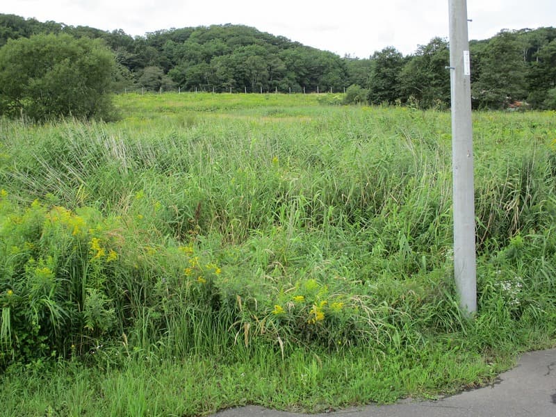 白糠町西庶路西２条北２丁目１番２３ １番２４ 要相談