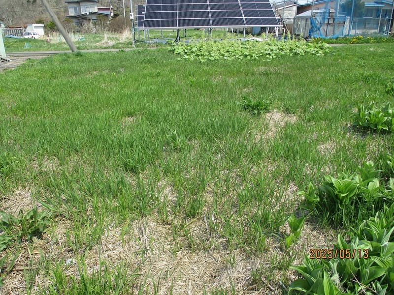 白糠町庶路宮下２丁目３番１６ 要相談